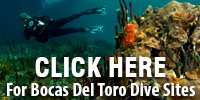dive sites in Bocas Del Toro