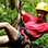 Canopy, Canyoning & Rappel Tours