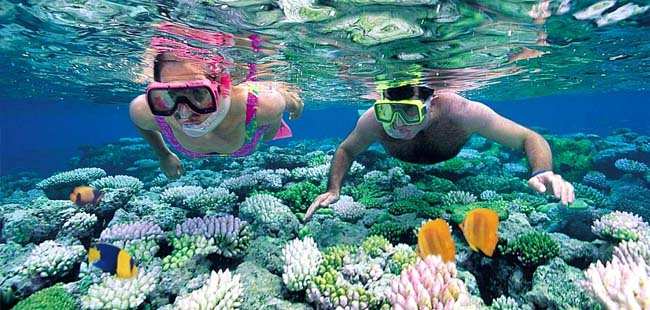 scuba diving tour panama city beach