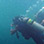 1 Tank Bocas del Toro Dive