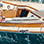 Private 74' Classic Sailboat Charter Bocas Del Toro