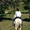 Boquete Horseback Riding Tour