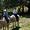 Boquete Horseback Riding Tour