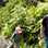 Boquete White Water Rafting + Cangilones Mini-Canyon + Boquete Cloud Forest Hike Super Saver Combo