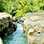 Boquete White Water Rafting + Cangilones Mini-Canyon + Boquete Cloud Forest Hike Super Saver Combo