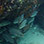 Caribbean 2 Tank Scuba