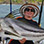 Gulf of Chiriqui Inshore Fishing