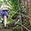 Hiking Metropolitan Natural Park Nature Trails