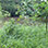 Hiking Metropolitan Natural Park Nature Trails