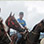 Boquete Horseback & Hot Springs Tour