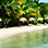 Bocas del Toro Catamaran Sailing Tour