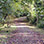 Metro Park & Punta Culebra Discovery Eco-Tour