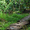 Metro Park & Punta Culebra Discovery Eco-Tour
