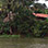 Monkey Island & Indian Village Combo Tour