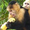 Monkey Island & Indian Village Combo Tour