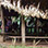 Monkey Island & Indian Village Combo Tour