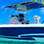 Panama Whale Watching Private Charters