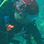 Tiger Rock Scuba Diving - Full Day Excursion