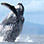 Panama Whale Watching Pearl Islands & Isla Bolaños Beach Break