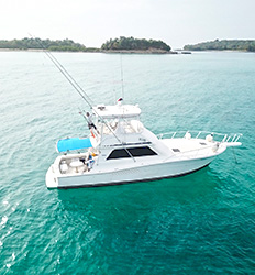 46' Viking Luxury Yacht Charter Panama