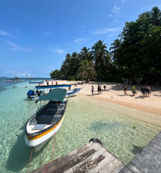 Bocas Boat Tour North – Starfish Beach