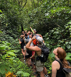 Birding Boquete Panama