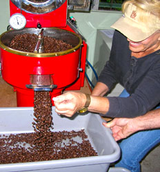 Boquete Valley + Coffee Combo (4hrs)