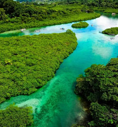 Caribbean Beaches & Venas Azules Mangroves Tour
