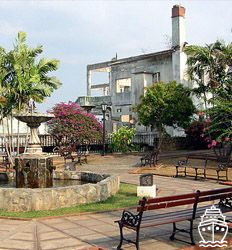 Bird Watching Metropolitan Natural Park