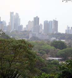 nature tours in panama Hiking Metropolitan Natural Park Nature Trails