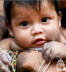 Bird Watching Metropolitan Natural Park