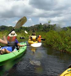 nature tours in panama Kayaking Lake Gatun, Panama Canal & Monkey Island