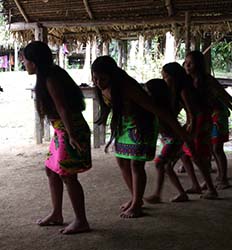 nature tours in panama Monkey Island & Indian Village Combo Tour