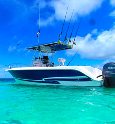 27' Proline -Panama Whale Watching Private Charter