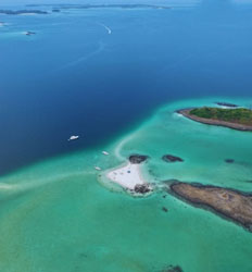 Small Group Pearl Islands Whale Watching Tour