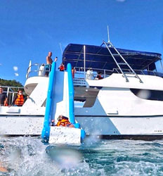 Pearl Islands Panama Whale Watching & Chapera Island Beach Break