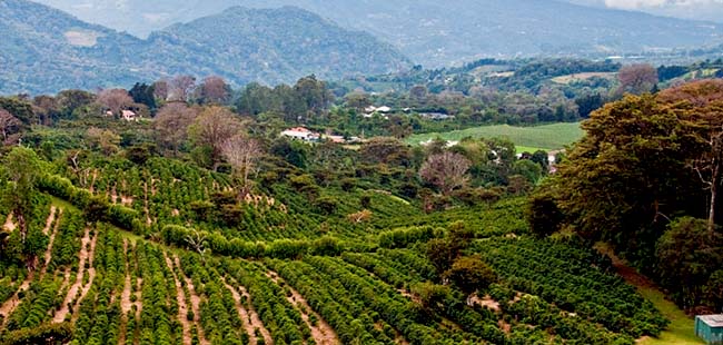 Recorridos Turísticos & Culturales en Boquete