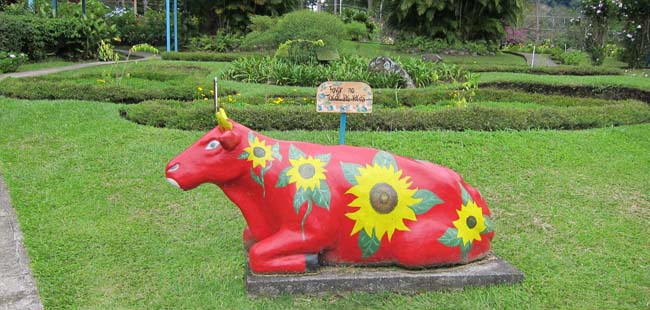 Recorridos Turísticos & Culturales en Boquete