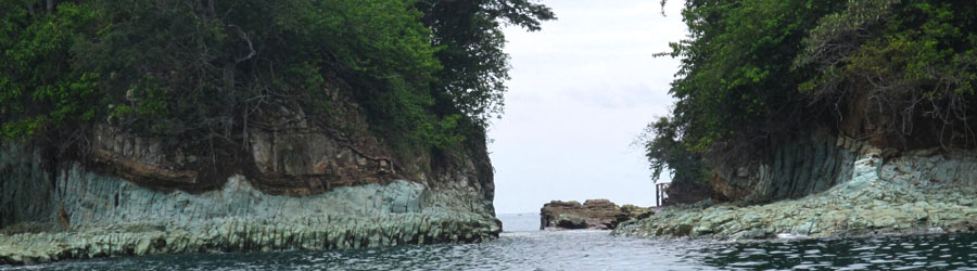 Avistamiento de Ballenas en Isla Las Perlas & Beach Break en Isla Bolaños