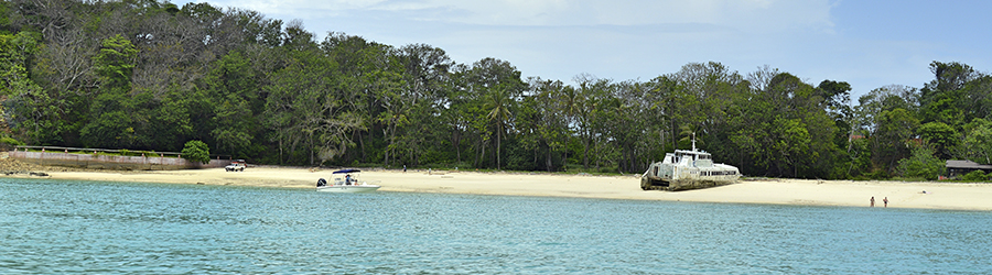 Avistamiento de Ballenas en Islas las Perlas & Beach Break en Isla Contadora