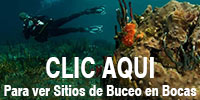 Sitios de Buceo en Bocas Del Toro