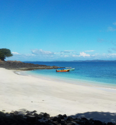 Caminata por el Bosque Nuboso de Boquete + Excursión de Snorkel en el Golfo de Chiriquí