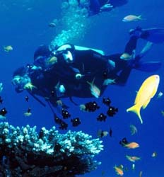 Caribbean Scuba & Private Island