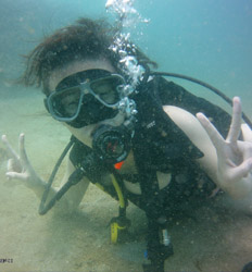 Discover Scuba Resort Course