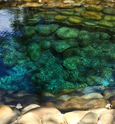 Excursión Exprés a las Aguas Termales en Boquete