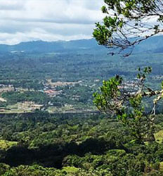 Excursión Panorámica de 3 Horas en Boquete