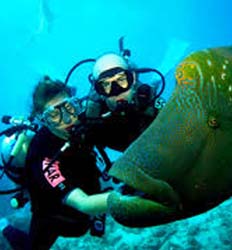 Excursión de Buceo de 1 Tanque en Bocas Del Toro