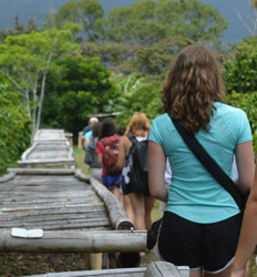 Excursión de Café en Boquete