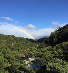 Excursión de Dia Completo Lo Mejor de Boquete