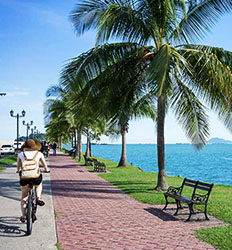 Excursion en Bicicleta por la Calzada Amador